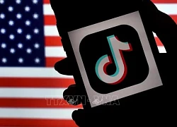 Bầu cử Mỹ 2024: TikTok, Facebook bị cáo buộc duyệt tin sai, tin giả