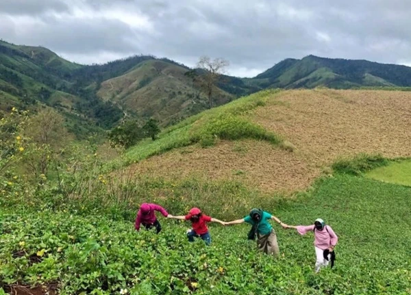 Khám phá 5 núi lửa với cảnh sắc thiên nhiên kỳ vĩ ở Việt Nam