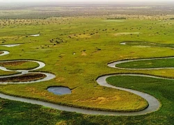 Okavango - Kỳ quan thiên nhiên của châu Phi