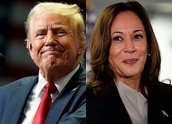 Ông Trump dẫn trước bà Harris ở các bang quan trọng bỏ phiếu sớm