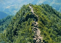 'Sống lưng khủng long' đẹp lạ ở Mù Cang Chải, khách đến săn ảnh nghìn like