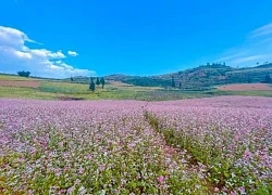 Suôi Thầu - Thảo nguyên xanh bao la ở Hà Giang