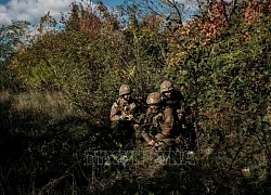 Đội tuần tra tìm lính nghĩa vụ tại Ukraine