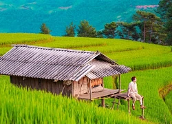 5 lý do không thể bỏ lỡ "mùa vàng" Mù Cang Chải: Tận hưởng thiên nhiên và hiểu thêm về văn hóa các dân tộc Tây Bắc