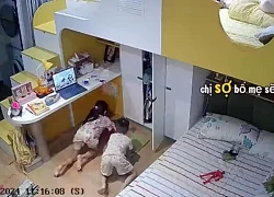 Chị gái vô tình làm đổ lọ mực, em trai có hành động không ngờ, check camera xong mẹ lập tức thay đổi thái độ