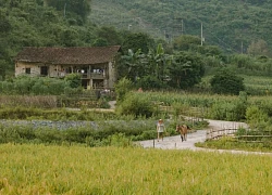 Cô gái review 1 tháng ở Cao Bằng khiến dân tình trầm trồ: "Có cánh đồng lúa bao quanh, có dòng sông xanh mát, có bầu trời sao rực rỡ..."