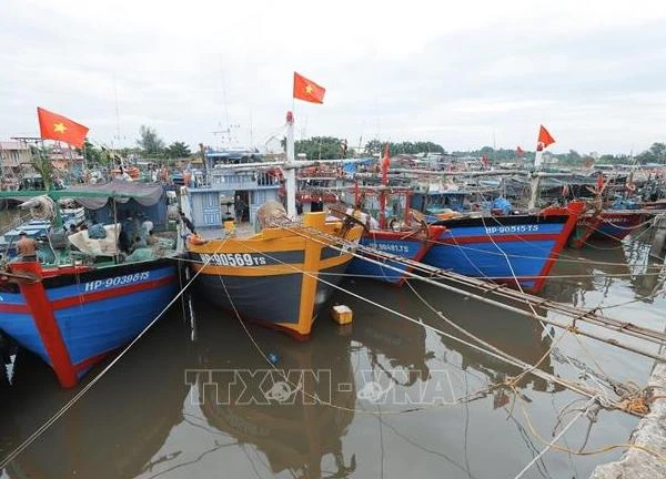 Thanh Hóa, Hải Phòng chủ động ứng phó với bão và áp thấp nhiệt đới