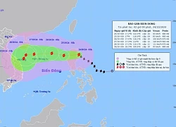 Tin bão Trà Mi mới nhất ngày 24/10, cảnh báo mưa giông trên Biển Đông