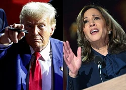 Bà Harris và ông Trump 'so găng' gay cấn trong các cuộc thăm dò toàn quốc