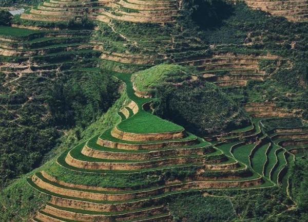 Bình Liêu hụt hơi trong cuộc đua du lịch ruộng bậc thang