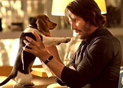 Chuyện ít biết về bộ râu thương hiệu của Keanu Reeves trong 'Sát thủ John Wick'