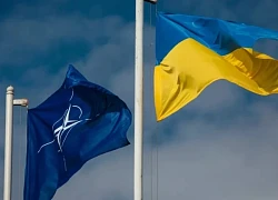 Đức bác đề nghị mời Ukraine gia nhập NATO