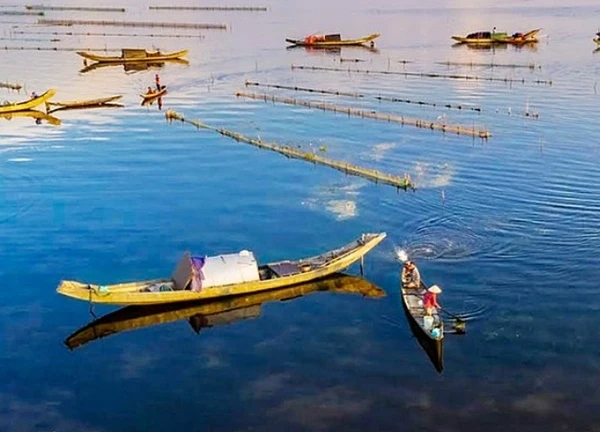 Sắc màu bình minh trên đầm Quảng Lợi