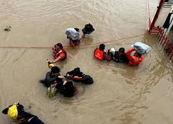 Số người chết do bão Trà Mi ở Philippines tăng cao