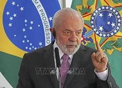 Tổng thống Brazil hủy kế hoạch dự các hội nghị COP16 và COP29