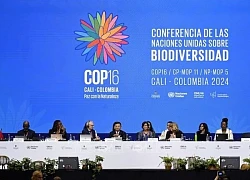 Armenia giành quyền đăng cai tổ chức Hội nghị LHQ về đa dạng sinh học 2026