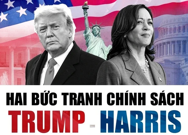 Hai bức tranh chính sách Trump - Harris