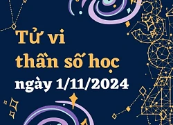 Thần số học thứ 6 ngày 1/11/2024: Số 5 nhạy cảm, số 22/4 sắp chia tay