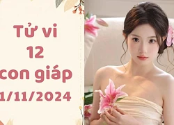 Thứ 6 ngày 1/11/2024: Dần gặp khó khăn, Dậu thiếu quyết đoán