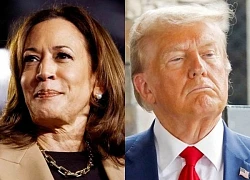 Tương phản Trump - Harris cuối chặng đua vào Nhà Trắng