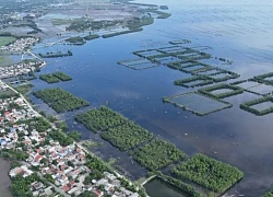 Về miền sông nước, chạm vào vẻ đẹp hoang sơ của phá Tam Giang