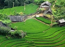 'Bỏ túi' những điểm đến hấp dẫn vào thời điểm cuối thu ở Việt Nam