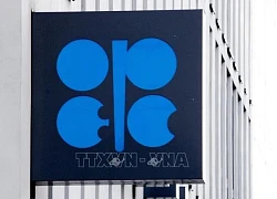 Cuộc họp của nhóm OPEC+ bị hoãn đến ngày 5/12