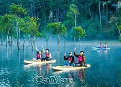 Băng rừng Laan