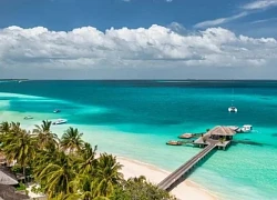 Du khách thêm tốn kém cho 'thiên đường' Maldives khi thuế khởi hành tăng gấp bốn