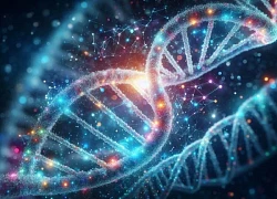 "Gien tối" ẩn trong DNA con người lần đầu được tiết lộ