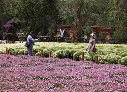 Nhiều điểm du lịch miễn vé tham quan trong ngày khai mạc Festival hoa Đà Lạt