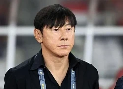 HLV Kim Sang Sik do thám Indonesia, ông Shin Tae Yong nói gì?