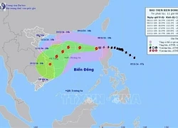 Bão số 7 di chuyển hướng Tây Tây Nam, giật cấp 17