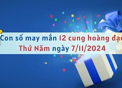 Con số may mắn 12 cung hoàng đạo hôm nay ngày 7/11/2024