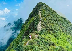 Săn mây trên 'sống lưng khủng long', ngắm rừng rêu ở Tà Xùa