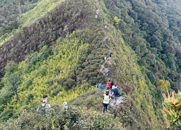 Tất tật kinh nghiệm đi rừng rêu Tà Xùa tựa cổ tích