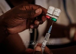 WHO kêu gọi phát triển vaccine phòng các căn bệnh gây tử vong trên diện rộng