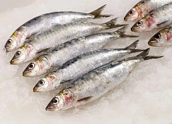 Cá mòi giàu omega-3 nhưng ai không nên ăn?