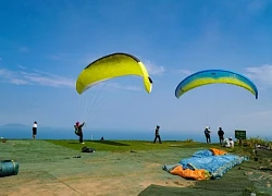 Đến Đà Nẵng du khách thử trải nghiệm bay dù lượn tại bán đảo Sơn Trà