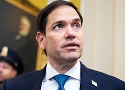 Tổng thống đắc cử Trump dự kiến chọn Thượng nghị sĩ Marco Rubio làm ngoại trưởng