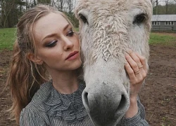 Amanda Seyfried chia sẻ lý do rời Hollywood