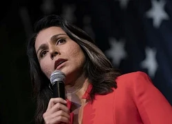 Ông Trump chọn bà Tulsi Gabbard làm Giám đốc Tình báo Quốc gia