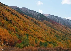 Tôi trekking tại nơi nguyên sơ còn sót lại ở châu Âu