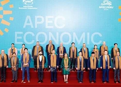 APEC kêu gọi tăng cường hợp tác đa phương, cải cách WTO