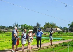 Làng rau Trà Quế được vinh danh 'Làng du lịch tốt nhất thế giới'