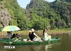 Mùa hoa súng tím tạo khung cảnh nên thơ ở khu du lịch Tam Cốc, Ninh Bình