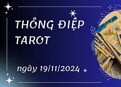 Thông điệp Tarot ngày 19/11/2024 cho 12 cung hoàng đạo: Xử Nữ bốc lá Queen of Cups ngược, Nhân Mã bốc lá Knight of Swords