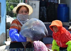 Hiện tượng chưa từng có xảy ra tại nhà máy điện lớn nhất miền đông Trung Quốc, công nhân quần quật 10 ngày đêm để giải quyết: Tín hiệu cảnh báo toàn cầu