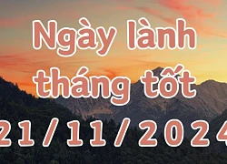 Ngày 21/11/2024 là ngày tốt có thể làm các việc như động thổ, khai trương, xuất hành, nhận việc, mai táng, sửa nhà, sửa mộ