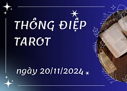 Thông điệp Tarot ngày 20/11/2024 cho 12 cung hoàng đạo: Song Tử bốc lá The Lovers, Song Ngư bốc lá Queen of Cups